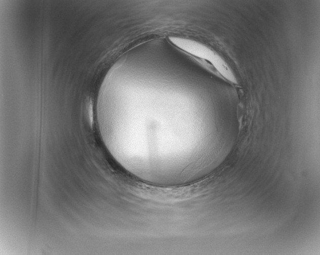 X0000052990027200508051120