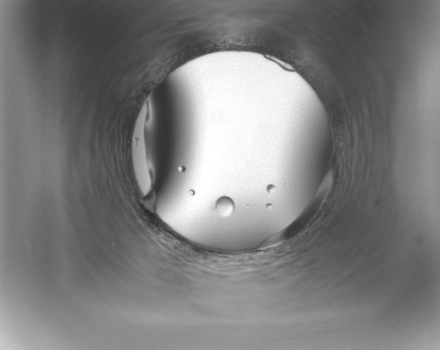 X0000052990029200508051119