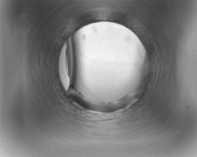 X0000052990031200508051119