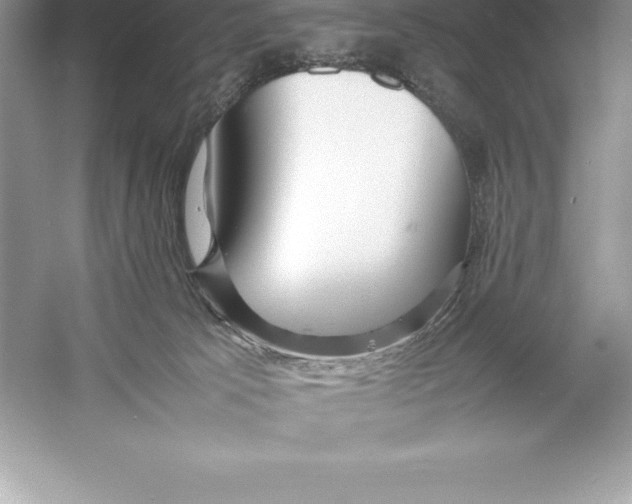 X0000052990033200508051119