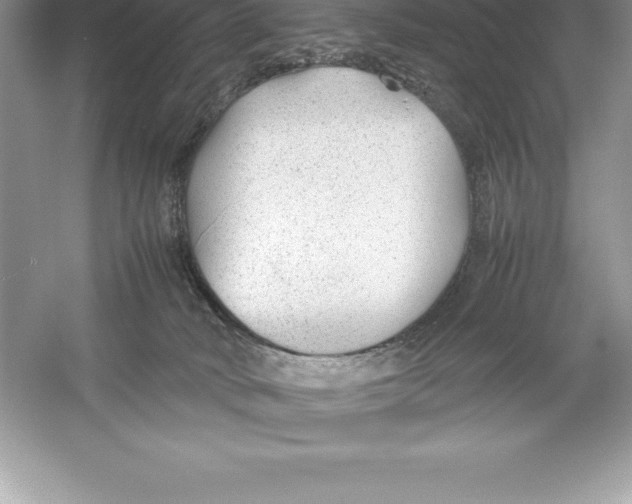 X0000052990034200508051119