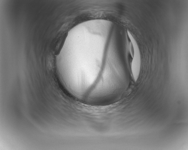 X0000052990035200508051119