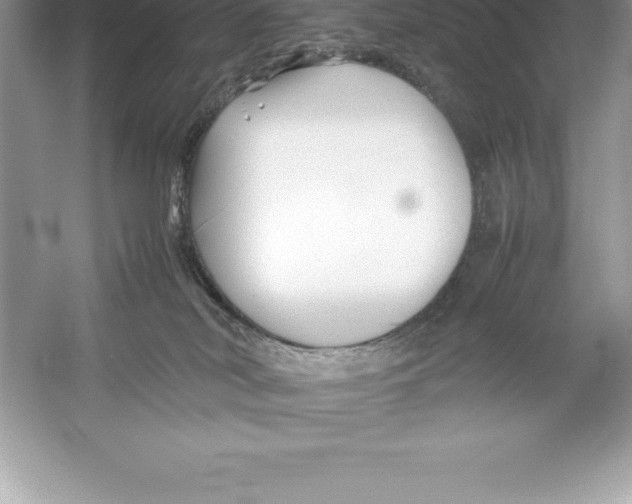 X0000052990038200508051119