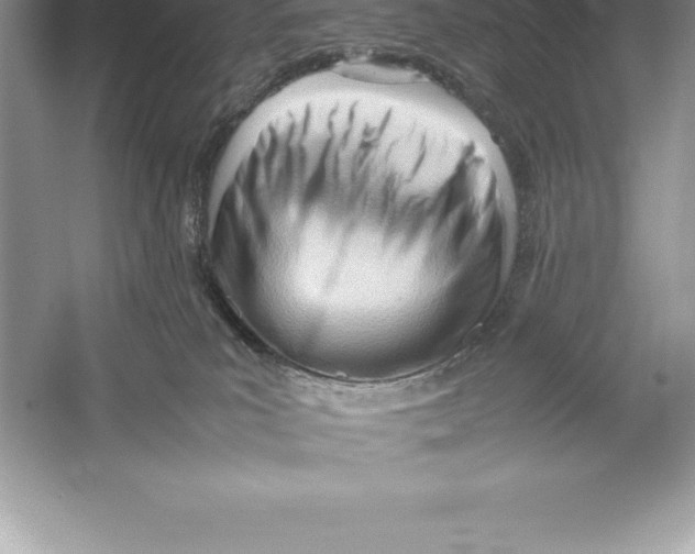 X0000052990039200508051119