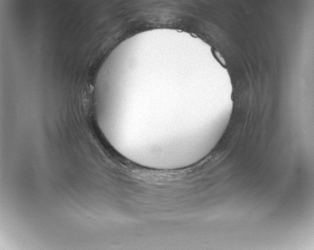 X0000052990040200508051119