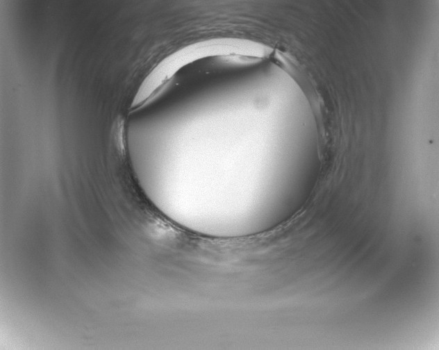 X0000052990041200508051119