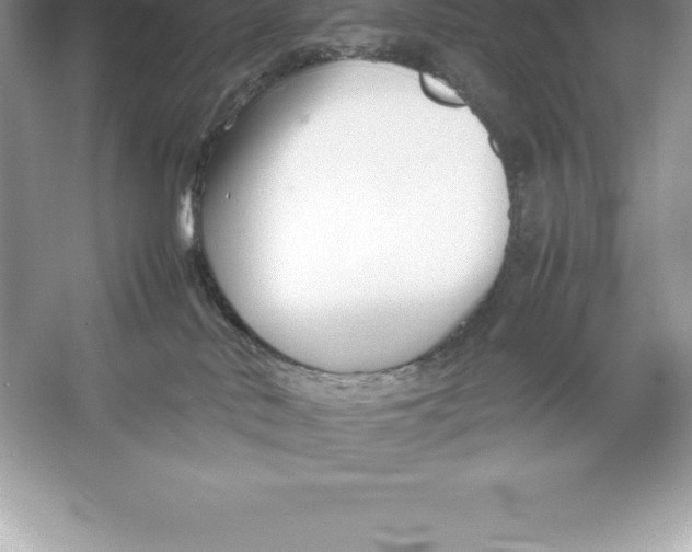 X0000052990042200508051119