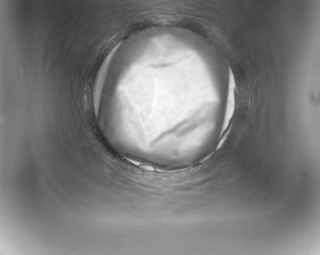 X0000052990043200508051119