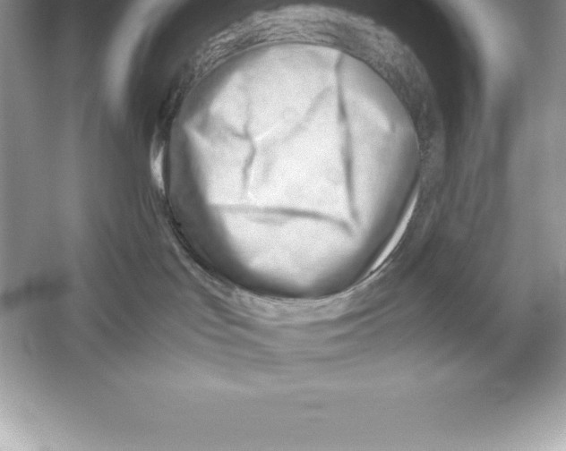 X0000052990047200508051119