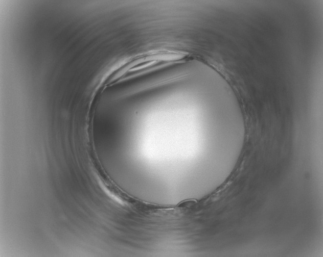 X0000052990050200508051118