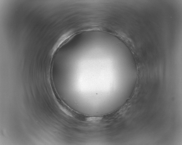 X0000052990051200508051118