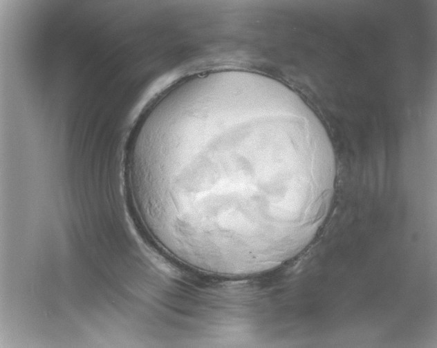 X0000052990054200508051118