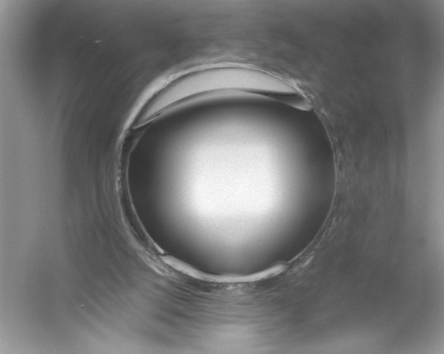 X0000052990056200508051118