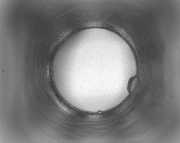 X0000052990057200508051118