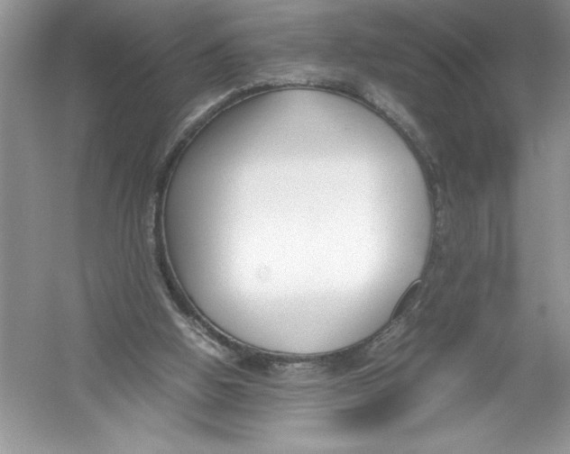 X0000052990058200508051118