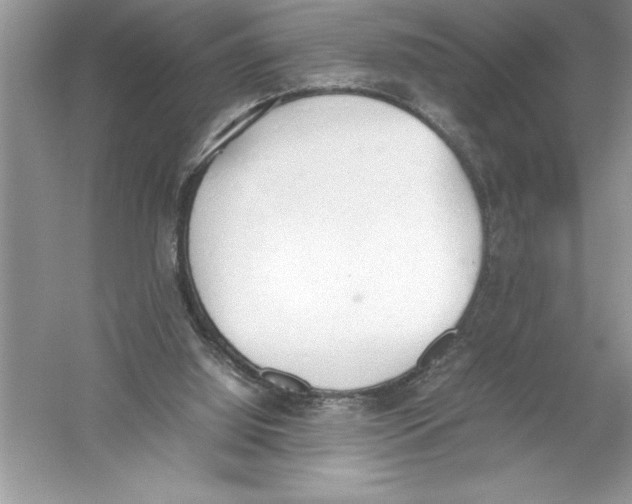 X0000052990060200508051119