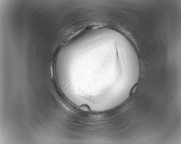 X0000052990061200508051119