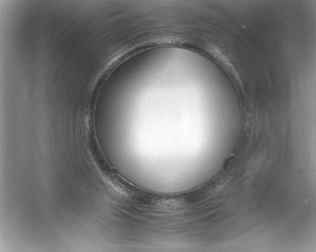 X0000052990063200508051119