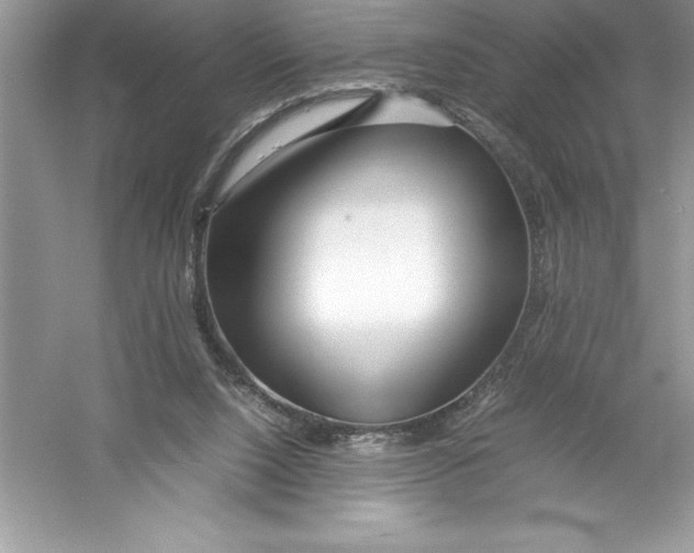 X0000052990064200508051119