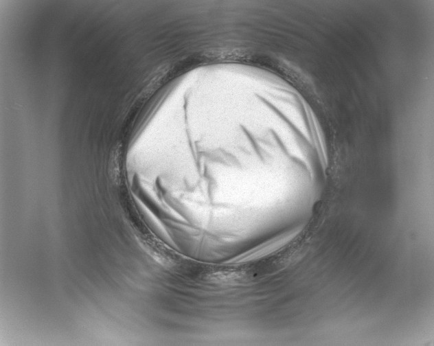 X0000052990065200508051119