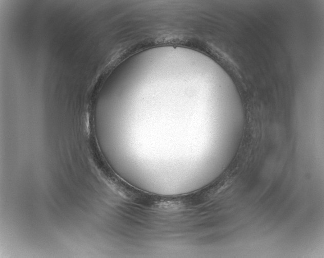 X0000052990067200508051119