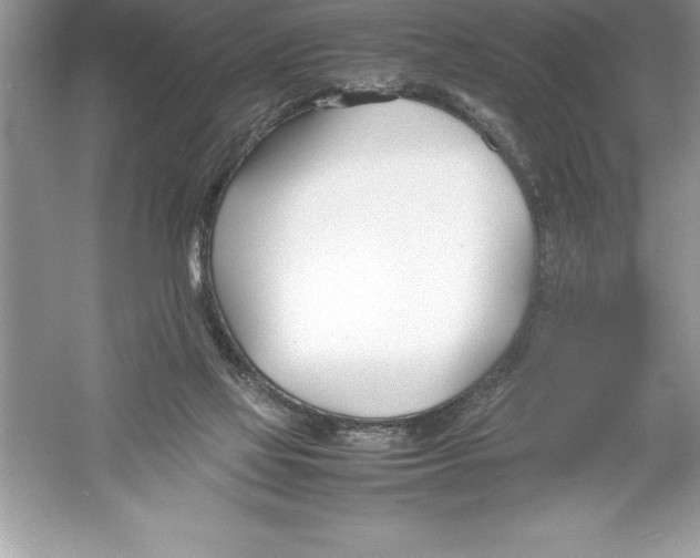 X0000052990069200508051119