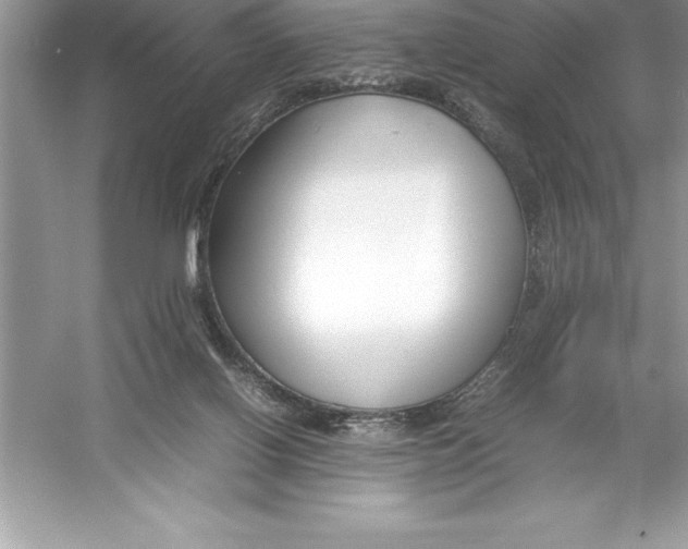 X0000052990070200508051119