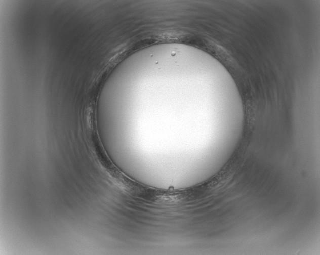 X0000052990071200508051119