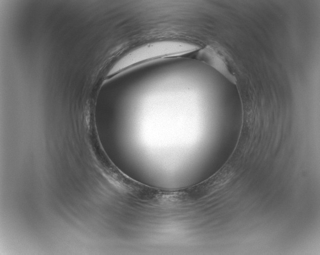 X0000052990072200508051119