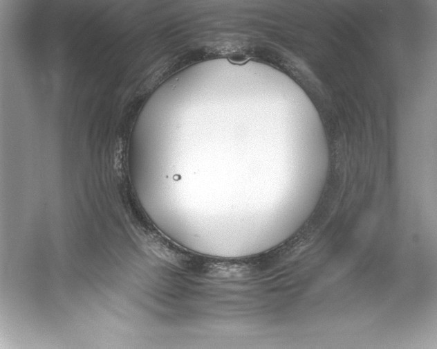 X0000052990073200508051119