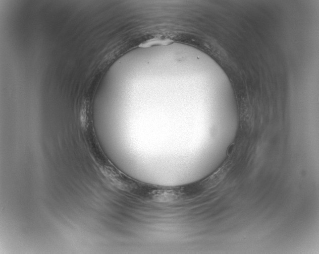 X0000052990074200508051119