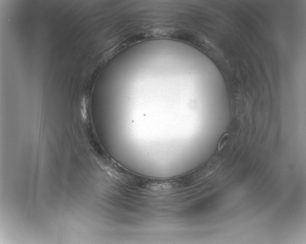 X0000052990075200508051119