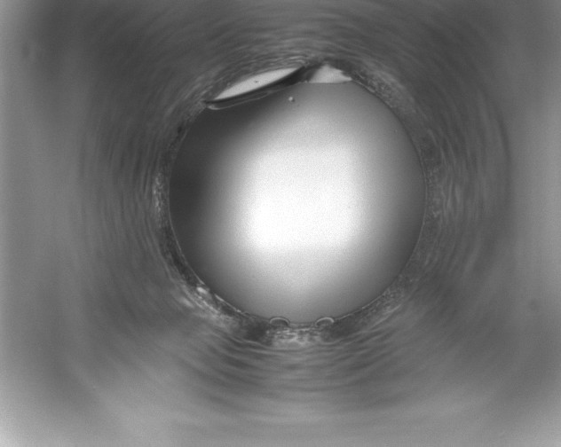 X0000052990077200508051119