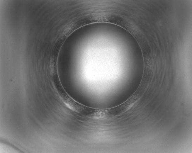 X0000052990080200508051119