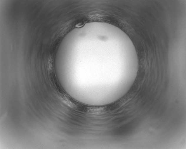 X0000052990081200508051119