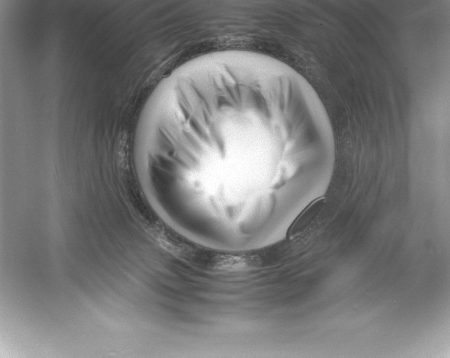 X0000052990083200508051119