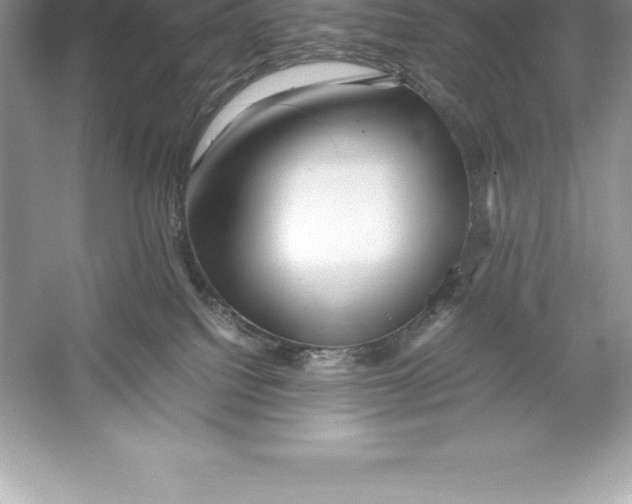 X0000052990088200508051119