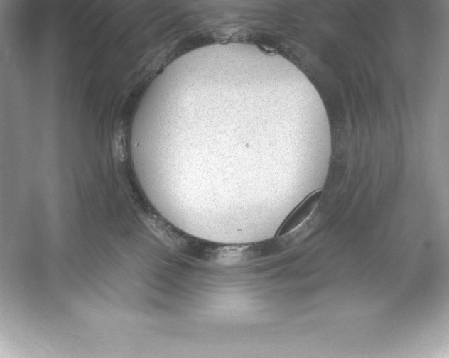 X0000052990090200508051119