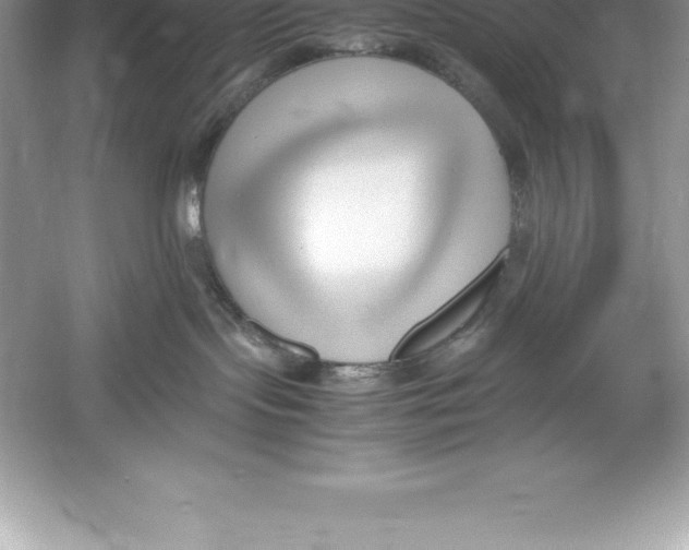 X0000052990095200508051119