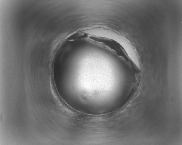 X0000052990097200508051118