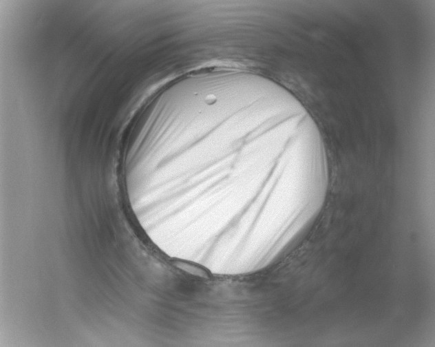 X0000052990098200508051118