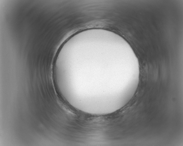 X0000052990100200508051118