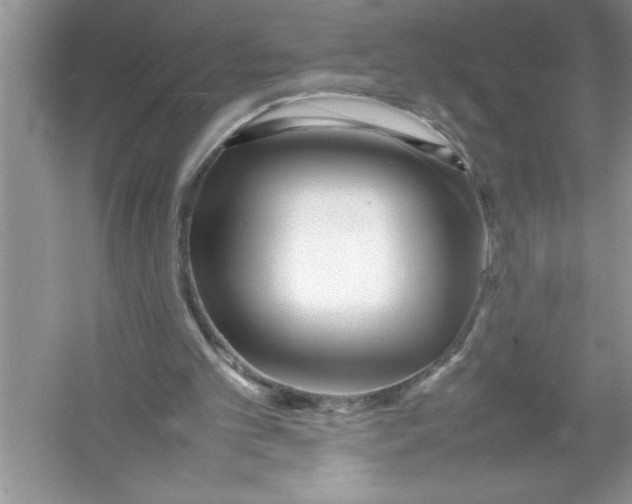 X0000052990101200508051118