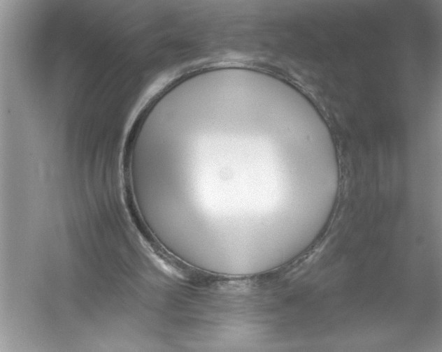 X0000052990102200508051118