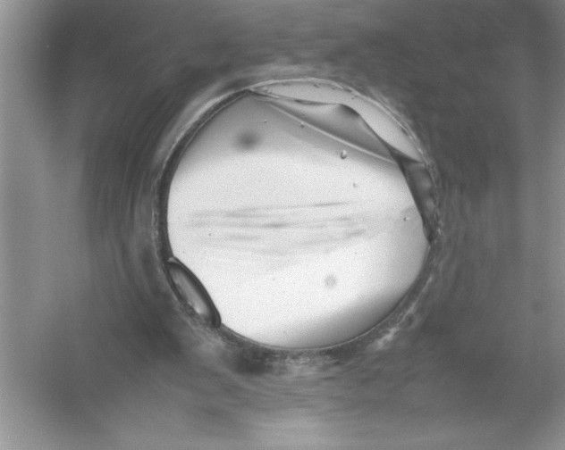 X0000052990103200508051118