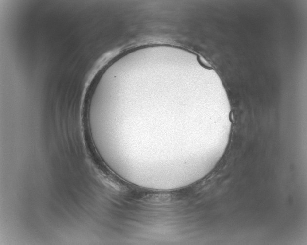 X0000052990104200508051118