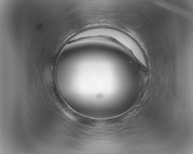 X0000052990105200508051118