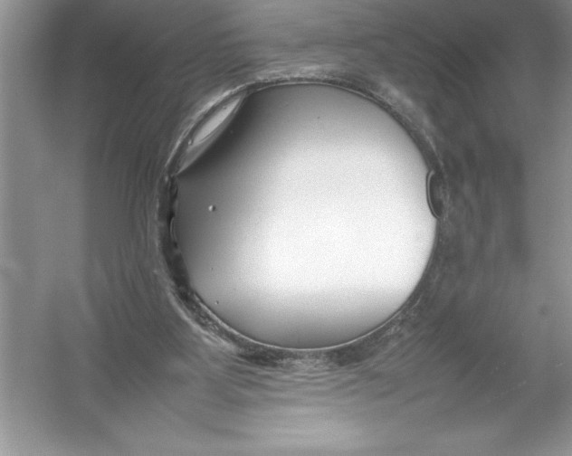 X0000052990107200508051118