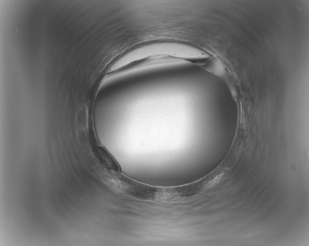 X0000052990109200508051118