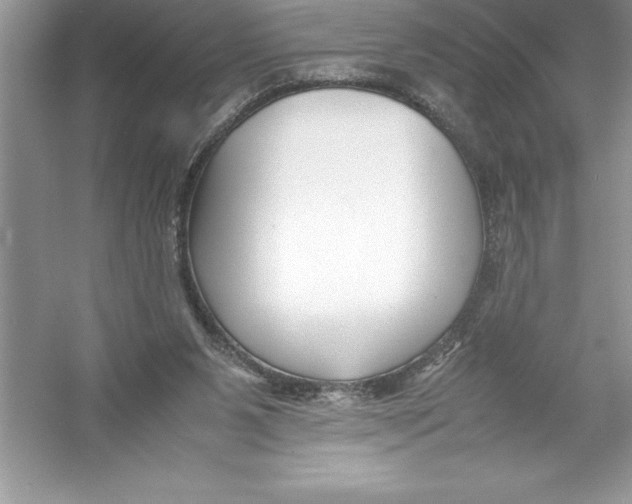 X0000052990111200508051118